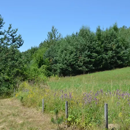 Gwiezdna Laka, Kontenerowe Borowa (Tarnow)